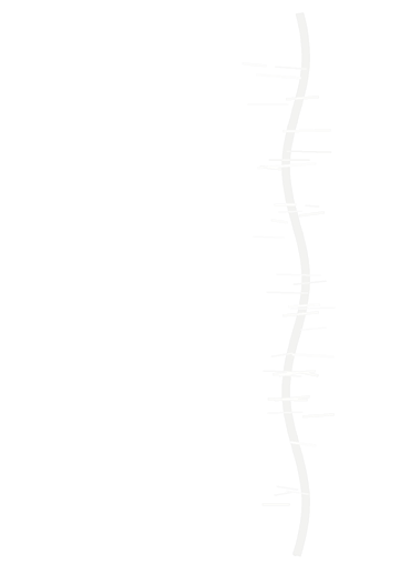 Bend or crease